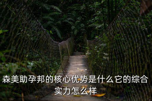 森美助孕邦的核心優勢是什么它的綜合實力怎么樣