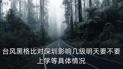 臺風黑格比對深圳影響幾級明天要不要上學等具體情況
