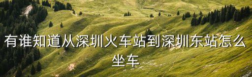 有誰知道從深圳火車站到深圳東站怎么坐車