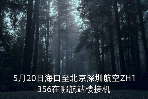 5月20日海口至北京深圳航空ZH1356在哪航站樓接機(jī)