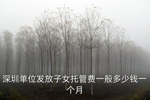 深圳單位發放子女托管費一般多少錢一個月