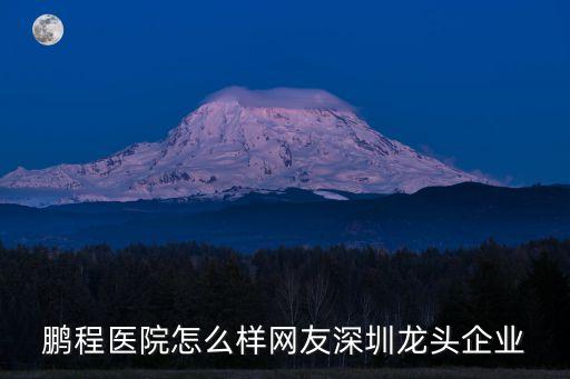 鵬程醫院怎么樣網友深圳龍頭企業