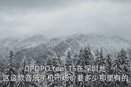 深圳有個叫什么音的手機，OPOPO real T5在深圳地區這款音樂手機市場價要多少那里有的