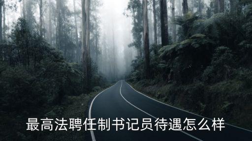 最高法聘任制書(shū)記員待遇怎么樣