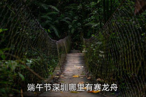 端午節深圳哪里有賽龍舟