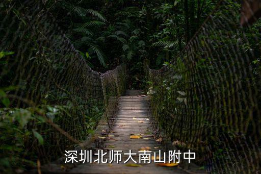 深圳北師大附中南山分校國際部，深圳北師大南山附中