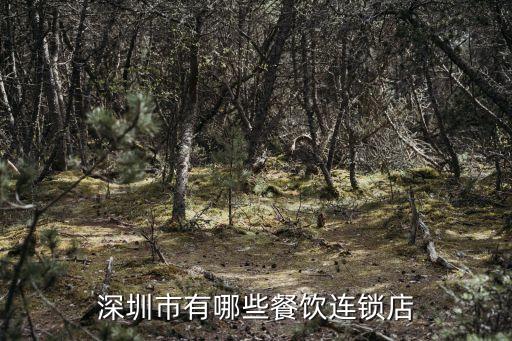 11年深圳快餐連鎖品牌，我是招商員公司要招些快餐店進來在深圳沙井請問深圳都有