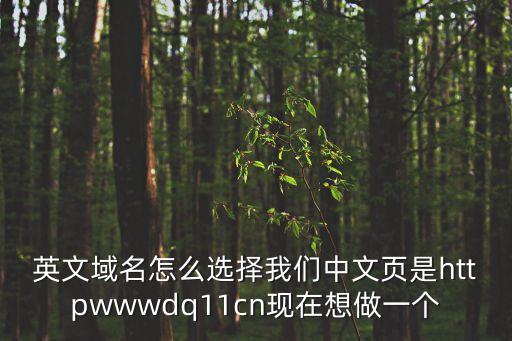 英文域名怎么選擇我們中文頁是httpwwwdq11cn現(xiàn)在想做一個