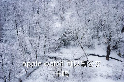 apple watch 可以刷公交卡嗎