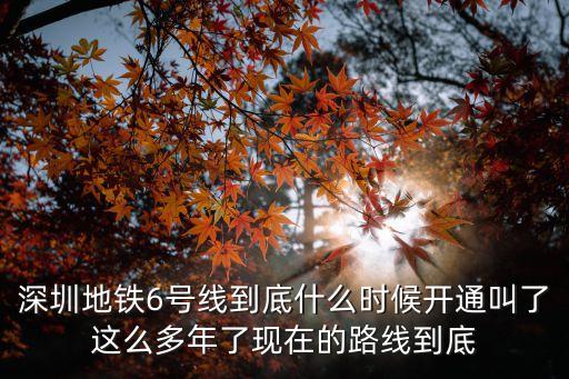 深圳地鐵6號線到底什么時候開通叫了這么多年了現在的路線到底