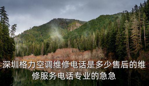 深圳格力空調(diào)維修電話是多少售后的維修服務電話專業(yè)的急急