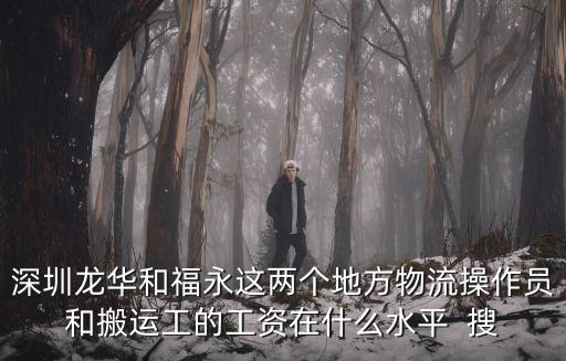 深圳市龍華搬運工，深圳龍華和福永這兩個地方物流操作員和搬運工的工資在什么水平  搜
