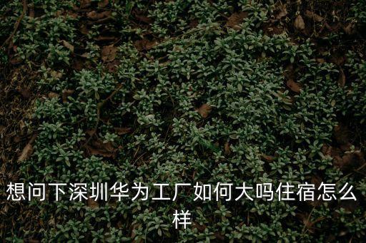 深圳旬野菜員工宿舍怎么樣，深圳富士康