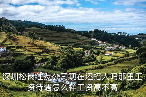 深圳松崗住友公司現在還招人嗎那里工資待遇怎么樣工資高不高