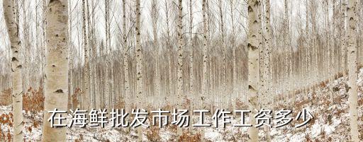 在海鮮批發市場工作工資多少