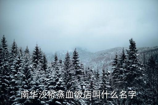 南華沙橋蒸血飯店叫什么名字