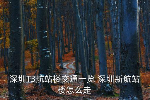深圳出發(fā)的東方航空線路，東方航空公司的機型和航線