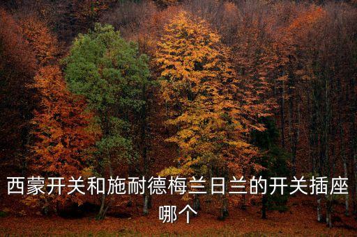 西蒙開關和施耐德梅蘭日蘭的開關插座哪個