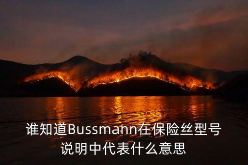 誰(shuí)知道Bussmann在保險(xiǎn)絲型號(hào)說(shuō)明中代表什么意思