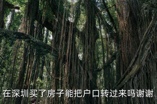 在深圳買了房子能把戶口轉(zhuǎn)過來嗎謝謝