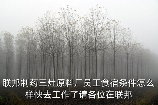 聯(lián)邦制藥三灶原料廠員工食宿條件怎么樣快去工作了請各位在聯(lián)邦