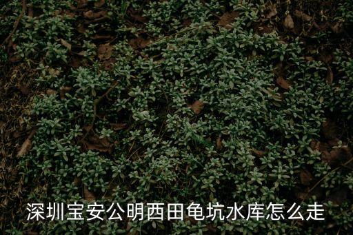 深圳光明區公明鐵坑水庫百科，鐵坑水庫釣魚