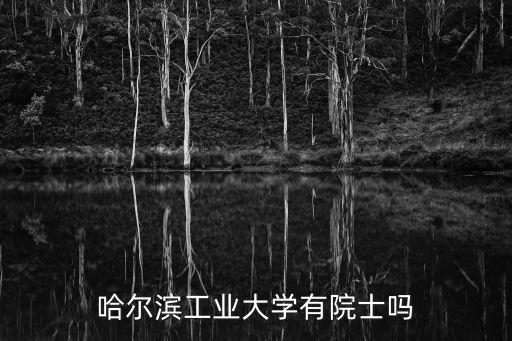 哈工大深圳校區的院士，哈工大有多少個院士