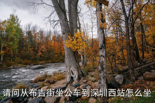 布吉到深圳西怎么走，布吉到深圳西站怎么走急急急 謝謝
