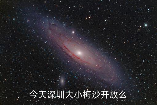 深圳龍灣城會所開放了嗎，深圳小梅沙幾點鐘開門