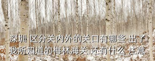 深圳 區分關內外的關口有哪些 出了我所知道的梅林海關 還有什么 注意