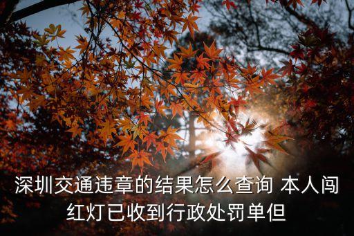 深圳交通違章的結果怎么查詢 本人闖紅燈已收到行政處罰單但