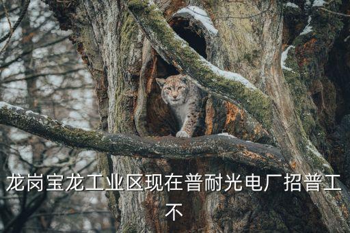 深圳普耐爾科技招聘普工信息，誰有深圳固戍瑜盛工業區普耐爾公司招聘電話