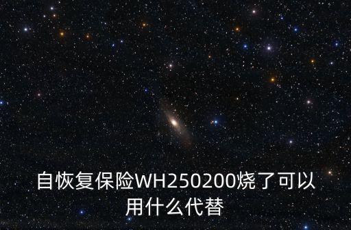 自恢復(fù)保險(xiǎn)WH250200燒了可以用什么代替