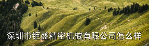 深圳市鉅盛精密機械有限公司怎么樣