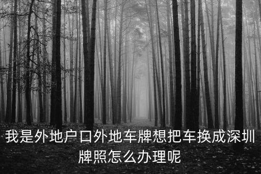 我是沈陽(yáng)的車牌可以轉(zhuǎn)成深圳的嗎，如何把外地車牌改成深圳車牌