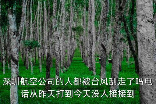 深圳航空公司的人都被臺風(fēng)刮走了嗎電話從昨天打到今天沒人接接到