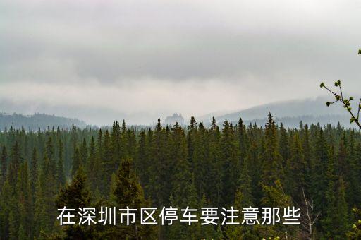在深圳市區停車要注意那些