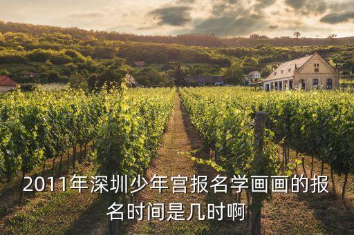 兒童畫的深圳少年宮，在深圳羅湖區有什么地方學習兒童美術