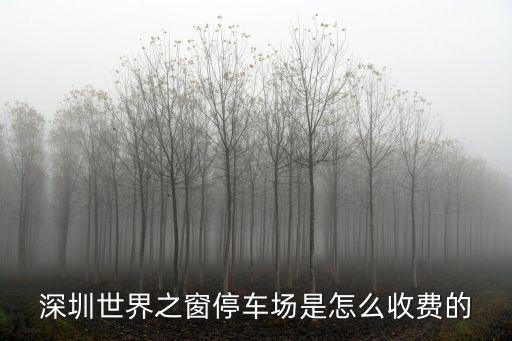 深圳中國經貿大廈停車收費，深圳世界之窗停車場是怎么收費的