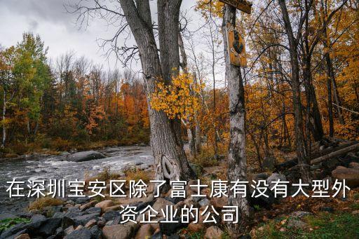 深圳哪個外資企業(yè)最大，在深圳寶安區(qū)除了富士康有沒有大型外資企業(yè)的公司