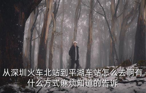 從深圳火車北站到平湖車站怎么去啊有什么方式麻煩知道的告訴