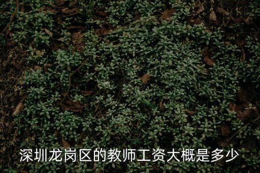 深圳龍崗區的教師工資大概是多少