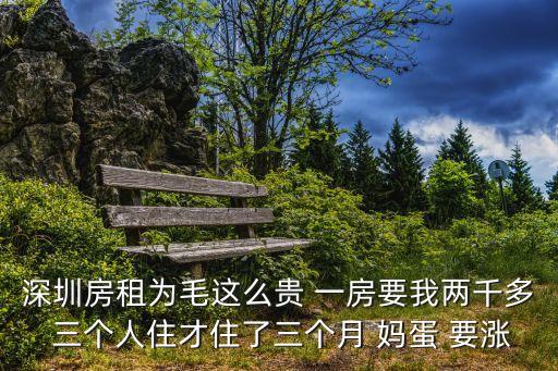 深圳房租為毛這么貴 一房要我兩千多 三個(gè)人住才住了三個(gè)月 媽蛋 要漲