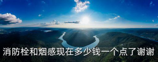 消防栓和煙感現(xiàn)在多少錢一個(gè)點(diǎn)了謝謝