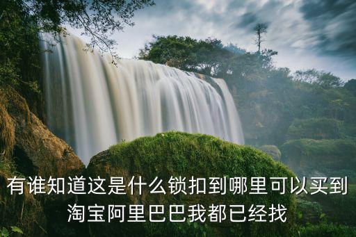 有誰知道這是什么鎖扣到哪里可以買到淘寶阿里巴巴我都已經找