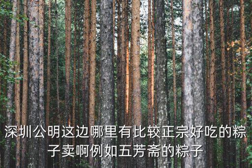 深圳十大粽子，請問深圳哪里賣的粽子好吃