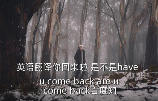 你回來(lái)深圳了嗎翻譯，你現(xiàn)在在深圳嗎英文怎么說(shuō)