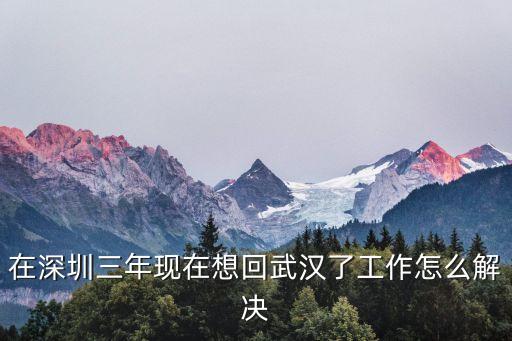深圳回武漢東西怎么處理，順豐快遞從深圳到武漢