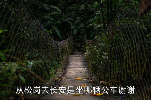 深圳松崗到長安北站坐什么車，從松崗去長安是坐哪輛公車謝謝