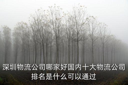 深圳物流公司哪家好國內十大物流公司排名是什么可以通過